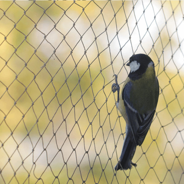 Anti Bird Net Mumbai