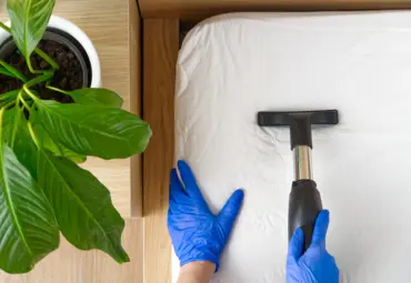 A Sai Pest Control provides Dust Mites Control in Wagle Estate