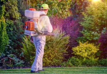 A Sai Pest Control provides Fly Control in Wagle Estate