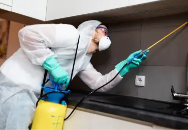 A Sai Pest Control provides General Pest Control in Wagle Estate