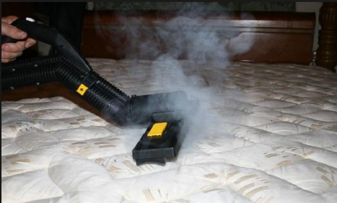 Bed Bugs Steam Treatment Mumbai